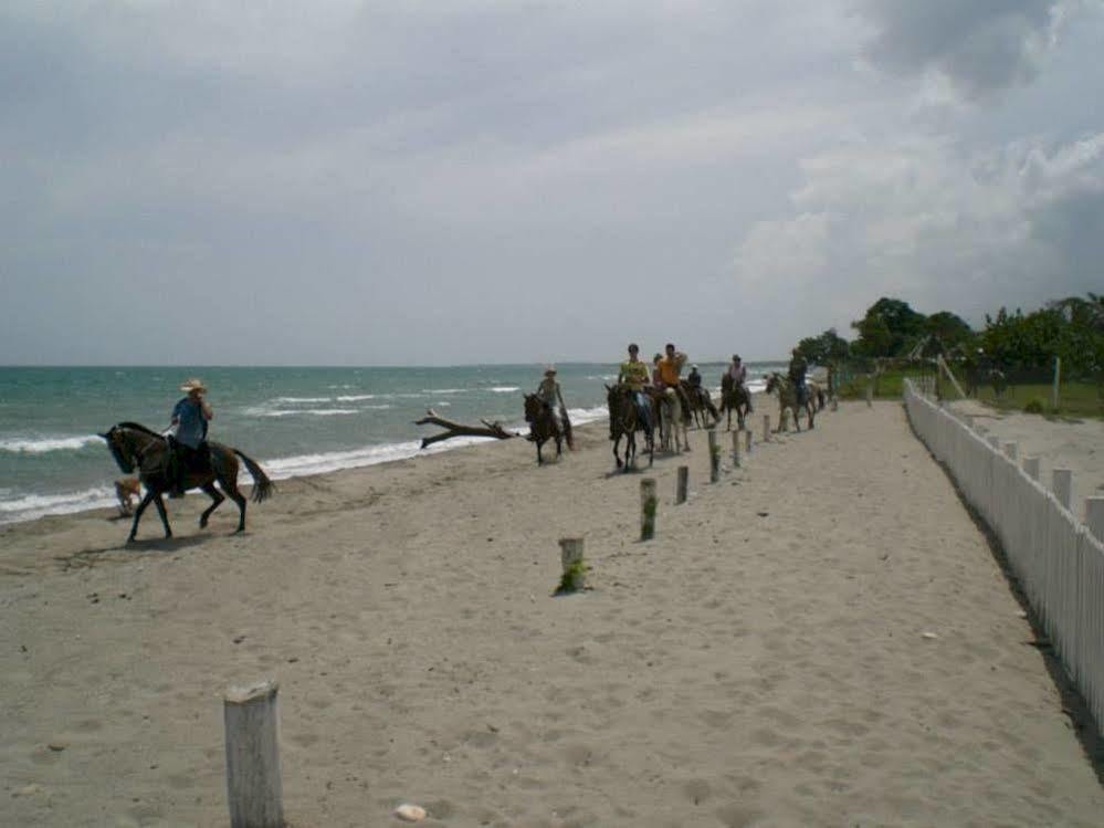 Old Bucanners Hotel La Ceiba Exterior foto